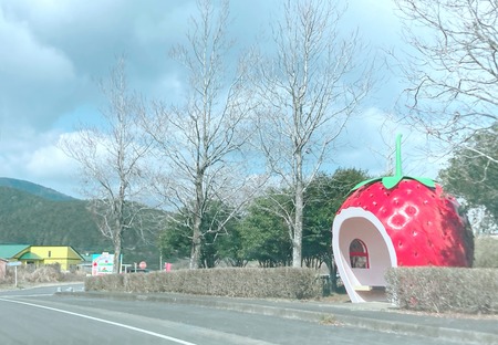 2022.04.26 諫早市小長井町 山茶花高原ピクニックパークIMG_1131