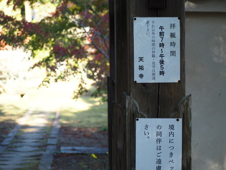 2024.12.02 ����ԡ�ŷʹ��PC020029