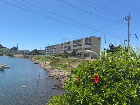 ����ú�ۤ��뤯IMG_1873