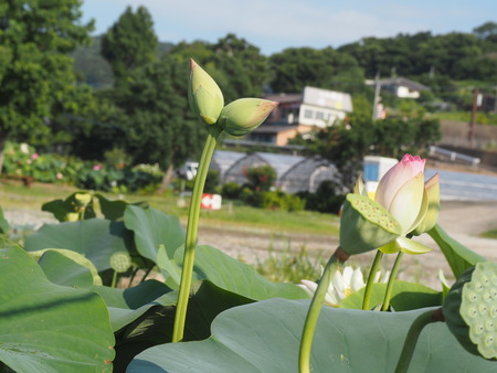 2025.07.22¡¡ëÝÁá»Ô¡¡ÅâÈæ¥Ï¥¹±à¡¡ÁÐÆ¬Ï¡£P7230066