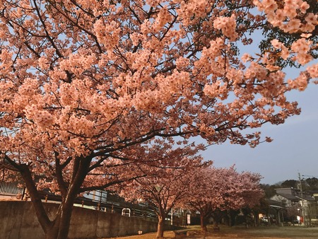 2022.03.04 大村市 久原公園IMG_0349