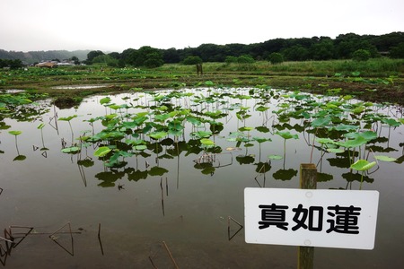 14-���������ϡ��DSC09818