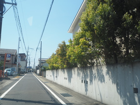 2021.05.11 島原 三太郎P5030522