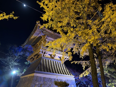 �¾���IMG_7034