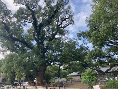 ҡ2025.10.19ʣҥIMG_0157