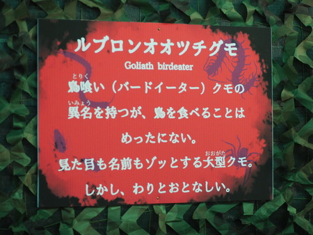 2021.11.13 佐世保 森きらら ゾッとするいきもの展PB136302