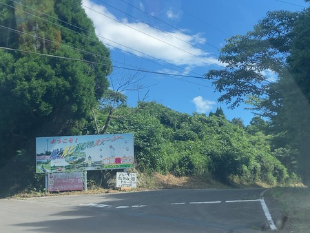 2025.08.14������ԡ����ӥ֥롼�٥꡼��IMG_8767