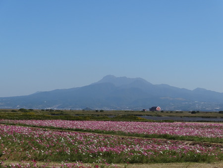 4-DSC02358