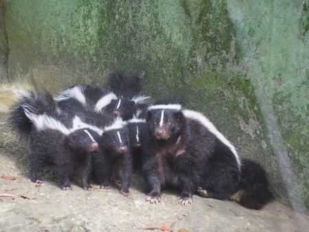 2021.07.04Ĺ��Х����ѡ���P7027785