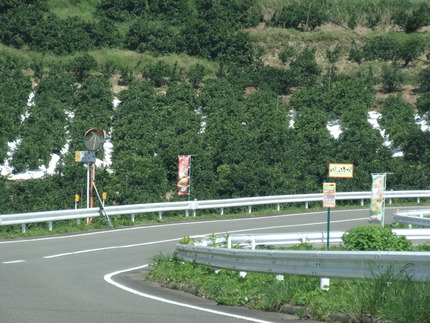 6-風の牧場DSC02419