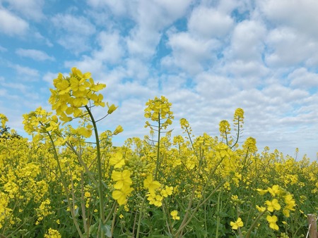 2022.03.29 ����ԡ��������⸶IMG_3068