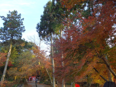 4-DSC05414