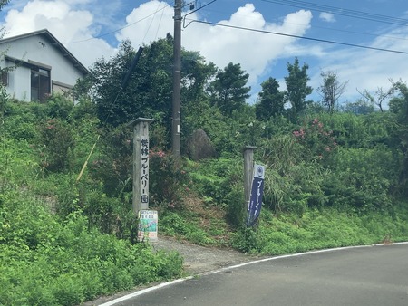 2023.08.29 ����Ծ�Ĺ��Į�����ӥ֥롼�٥꡼��IMG_7116