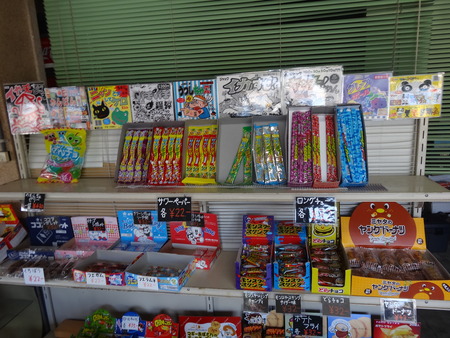 10-林下商店DSC03031