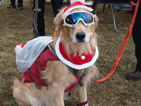 2024.12.01 taradake outdoor garaPC020161