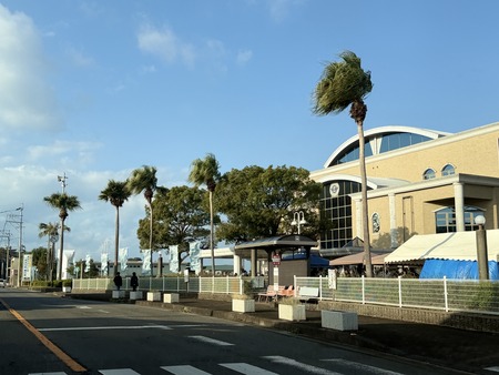 ������ޤ����פ�IMG_8159