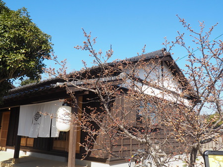 2023.02.04 雲仙市国見町神代DENKEN WEEKP1015511