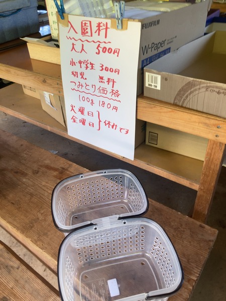 2025.08.14������ԡ����ӥ֥롼�٥꡼��IMG_8783