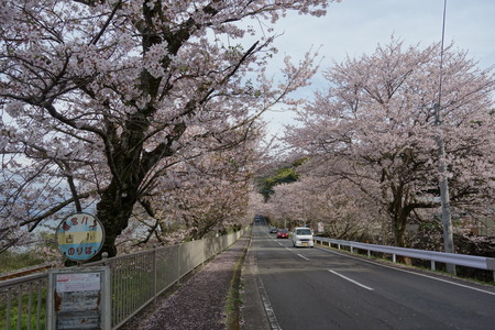 11-多良見町古川DSC05815