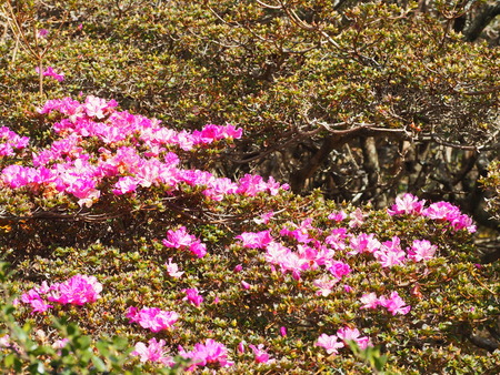 2022.11.04 ±ÀÀç¿ÎÅÄÆ½¡¡¹ÈÍÕPB033645