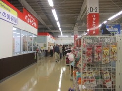 7-8DSCF4094