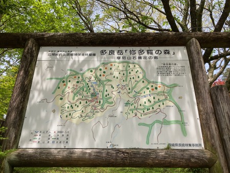 2025.07.19�����ὤ¿��ο�IMG_1260