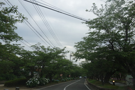 ������¼����DSC08240