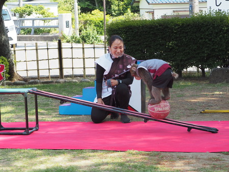 2022.06.03 大村公園 花菖蒲P6031327