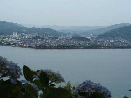 2022.06.11 大村市あじさいP6101618