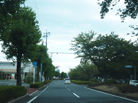 2-大村市 無人販売所P8136673