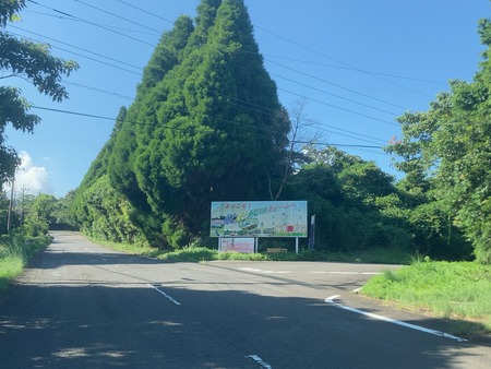 2024.08.10 諫早市 山茶花高原ハーブ園ひまわり花手水IMG_7359