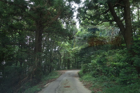 5-�Τ�Ӥ껳DSC01050
