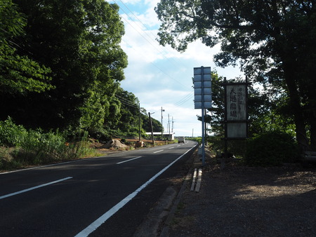 8-南島原市加津佐町 大地牧場のひまわり畑P8126342