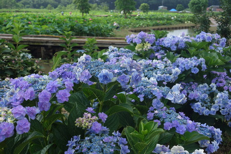 5�����������ϥ���DSC08818