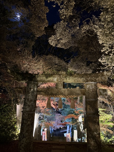 �׻�ǯ����IMG_6943