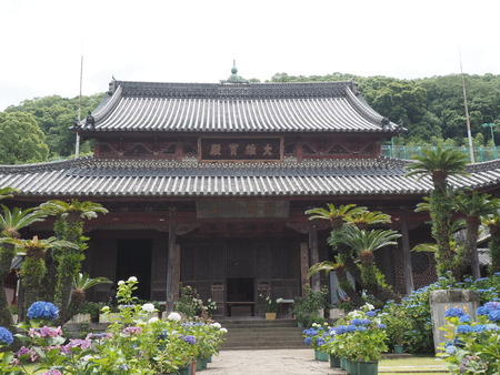 2024.06.02 長崎市 興福寺あじさいP6027491