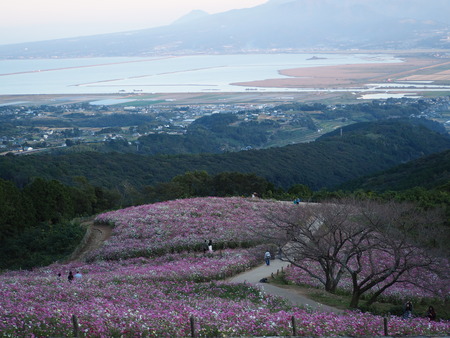 2−白木峰高原 夕方PA201104
