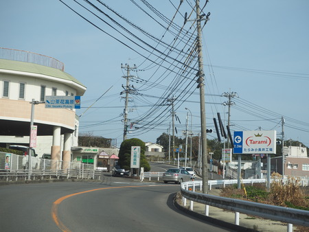 諫早市小長井町 山茶花高原P1161496