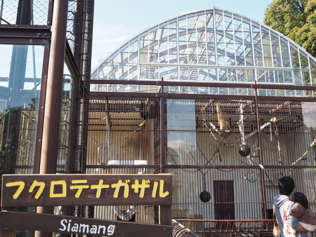 2021.11.14 �����ݻԡ��彽����ư��ʪ�ࡡ�������PB136488