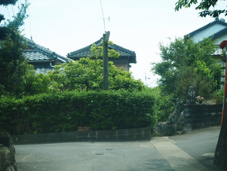 2-南島原市布津 カフェ やまとうみP5231796