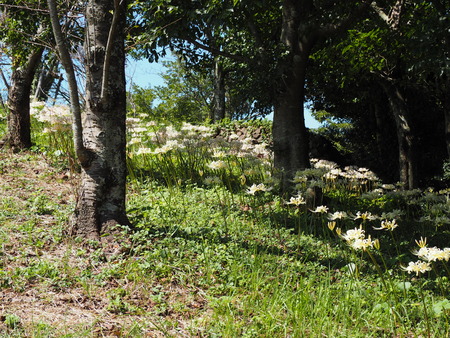 ��¼�ԡ���١�ȭ��������߲�P9241508