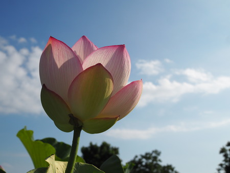 2025.07.22¡¡ëÝÁá»Ô¡¡ÅâÈæ¥Ï¥¹±à¡¡ÁÐÆ¬Ï¡P7230024