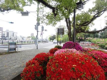 1-諫早公園DSC09585