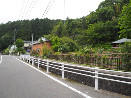 5-諫早市栗面町 Mai's garden P5171363