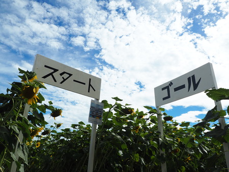 2022.07.30 ����Ծ���Į���Ҥޤ�ꥯ������P7303593