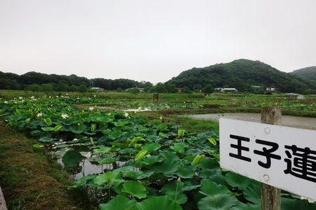 12-����ϥ���DSC09810