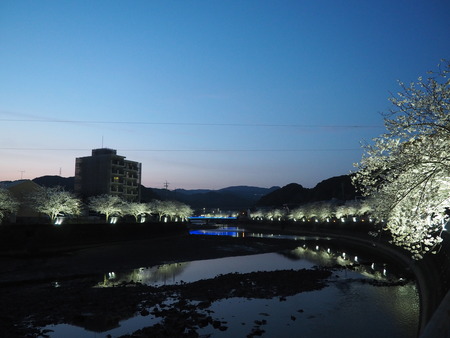 2023.03.31��Ĺ��ԡ�ȬϺ��κ�����P1010967