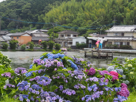 2023.06.10������Կ���Į���ä��������ࡡ���Ĥ�����P1019858