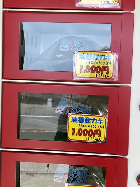 2021.10.16 ����Կ���Į�������ѵ����������������ʪľ���_3667