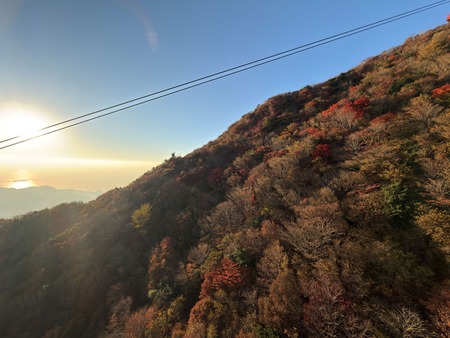 ��̯���ٻ�ĺ������IMG_3056